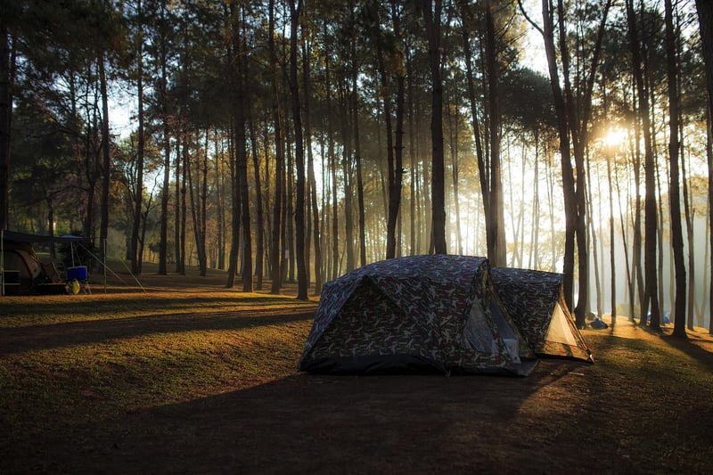 Camping Sites